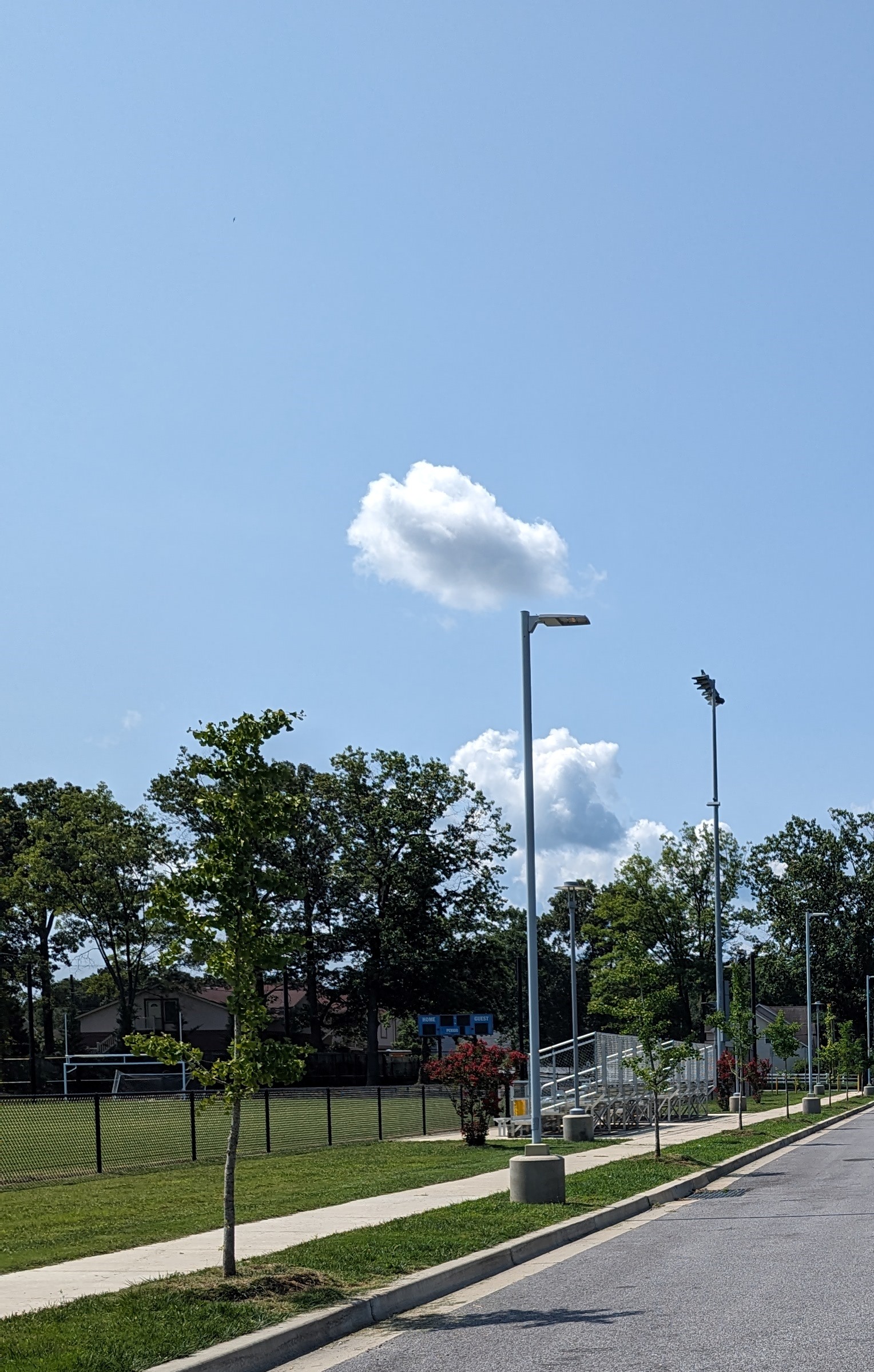 an empty street in a park on a sunny day